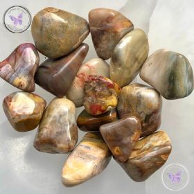 Petrified Wood Healing Properties | Petrified Wood Meaning | Benefits ...